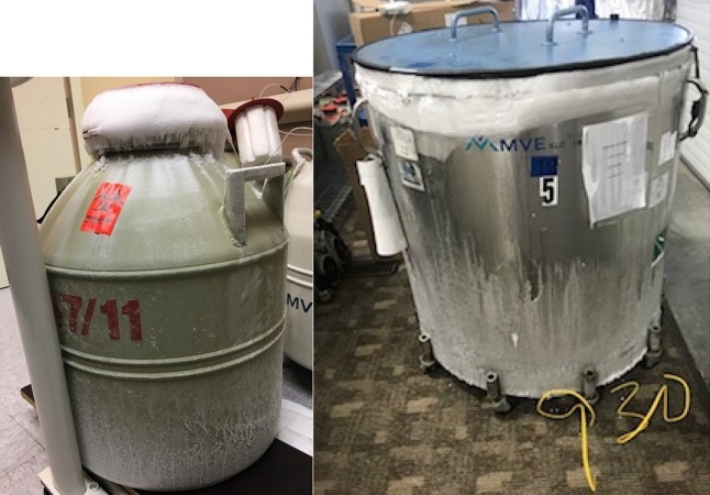 液氮罐內(nèi)部結(jié)冰